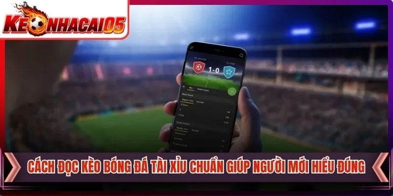 Cách Đọc Kèo Bóng Đá Tài Xỉu Chuẩn Giúp Người Mới Hiểu Đúng