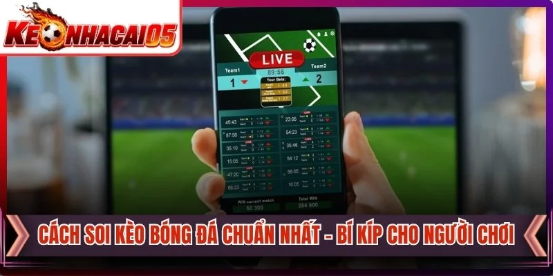 Cách Soi Kèo Bóng Đá Chuẩn Nhất - Bí Kíp Cho Người Chơi