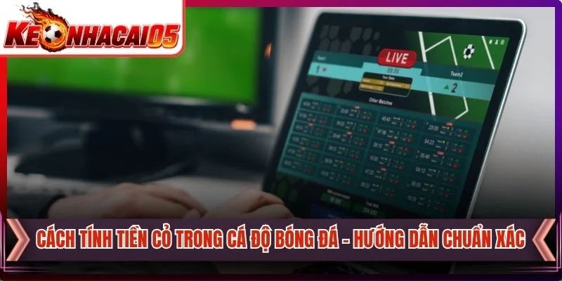 Cách Tính Tiền Cỏ Trong Cá Độ Bóng Đá - Hướng Dẫn Chuẩn Xác