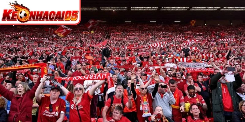 Hé lộ lời giải đáp chuẩn xác Fan Liverpool gọi là gì?