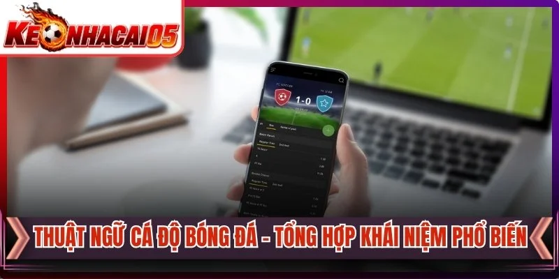 Thuật Ngữ Cá Độ Bóng Đá - Tổng Hợp Khái Niệm Phổ Biến